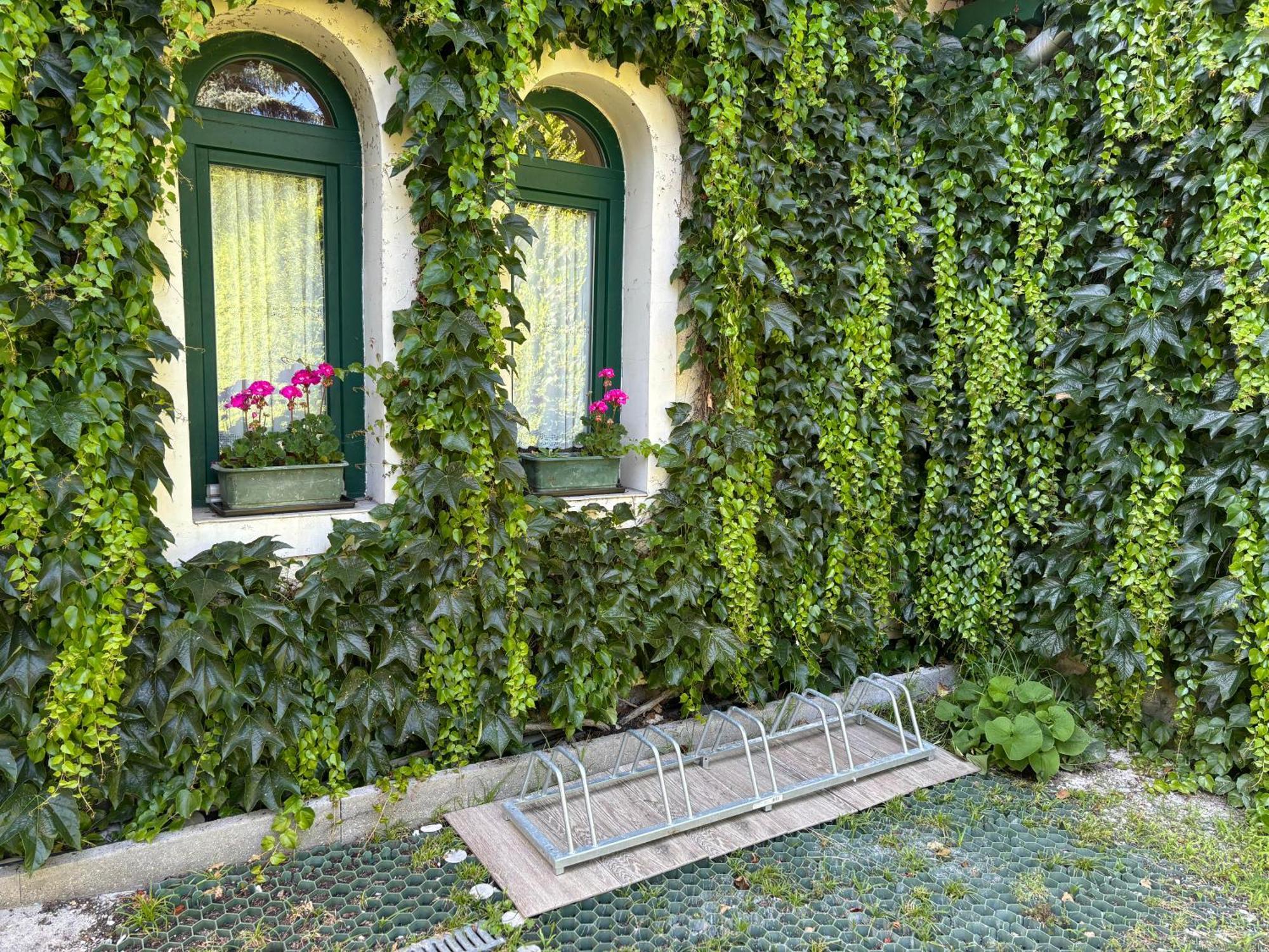 Szalay Villa Veszprém Exteriör bild